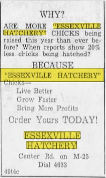 Essexville Hatchery - March 1948 Ad (newer photo)